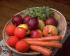 Sound Holistic Health Nutrition